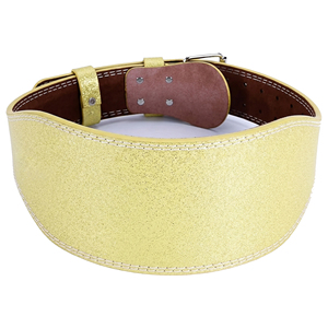 Ceinture de musculation réglable pour le soulagement des douleurs dorsales, avec soutien lombaire, à paillettes, pour la musculation et les soulevés de terre en salle de sport - Product Image 1