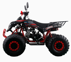 Nuevo y Potente Cuatriciclo ATV de 110cc 125cc con Transmisión por Cadena, Garantía de 3 Años, Construcción de Plástico, OEM, ODM, DIY - Product Image 2