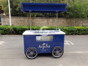Carrito de Helados Comercial al Por Mayor con Precios Competitivos, Carrito de Comida para Helados - Product Image 2