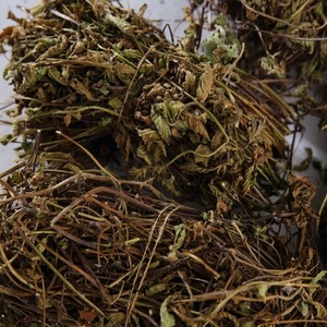 Planta de Gelatina de Hierba Seca Limpia de Vietnam, Planta Entera, Tono Oscuro Natural, Para Procesamiento de Bebidas - Product Image 4