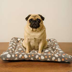 Tappetino per Cani Yommy con Base Antiscivolo in Morbido Tessuto Flanella Disponibile in 3 Misure M (57x75 Cm) L (75x95 Cm) XL (88x112 Cm) per Letti per Animali - Product Image 2