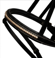 Bridon en cuir pour cheval avec sangle de nez à boucle et garniture dorée, équipement d'équitation durable TAK Equestrian HB1902