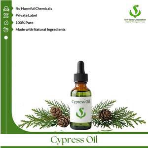Proveedor Mayorista de Aceite Puro de Ciprés, Ofrece Aceite Esencial de Calidad para Cosméticos, Cuidado Personal, Perfumes, Fragancias y Aromaterapia - Product Image 1