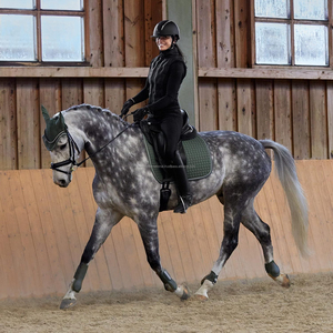 Vente chaude Respirant Coton Fly Oreille Bonnet et Bug Couverture pour Chevaux En Gros Étiré Oreille Masque - Product Image 4