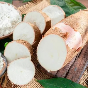 Amidon de tapioca vietnamien de haute qualité, pur, polyvalent, sain et idéal pour la transformation alimentaire et l'exportation. - Product Image 6