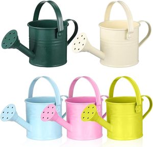 Trusted Manufacturer Elegant Water Can For Daily Plant Watering And Modern Garden Decoration With <b>Lightweight</b> Durable Material - Product Image 1