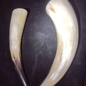 Cuerno de Búfalo Blanco Natural Pulido a Mano, el Mejor Cuerno en Polvo Hecho a Mano, Personalizado - Product Image 2