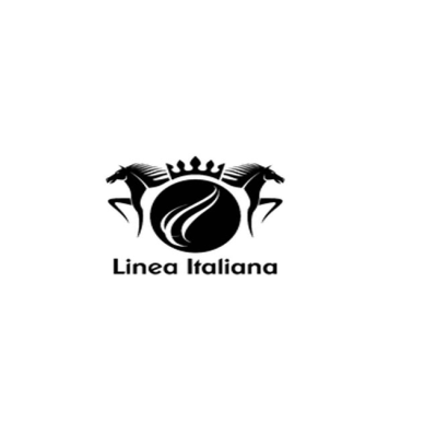 LINEA ITALIANA DI BENAZZI ANNA & C. SAS logo