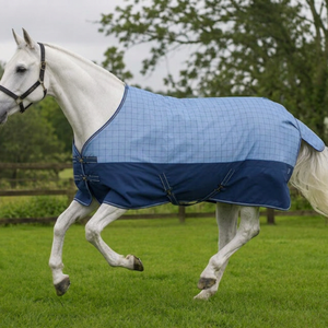 Couverture d'extérieur hybride de luxe pour chevaux, 1200 deniers Oxford, protection hivernale, bleu clair à carreaux Gingham, bas bleu uni - Product Image 2