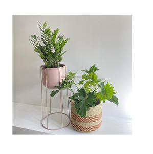 Jardinières et Pots de luxe à thème blanc, meilleure décoration intérieure, Designs de finition peints, jardinière de plantes vertes - Product Image 5