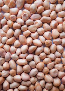 Arachides blanchies entières, noyaux de cacahuètes séchés, collation pour la transformation alimentaire, cacahuètes de Java - Product Image 2