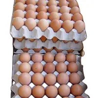 Ovos para tabela de galinha/ovos de galinha frescas