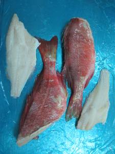 Atlantische Oceaan Baars Bevroren Roodbaars Filet Met Een Goede Prijs - Product Image 6