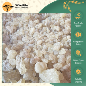 ตัวแทนจำหน่ายที่ดีที่สุดในโลกนำเสนอยางดามาร์สีเหลืองขาวคุณภาพสูงสุดสำหรับผู้ซื้อจำนวนมากในราคาประหยัด - Product Image 3