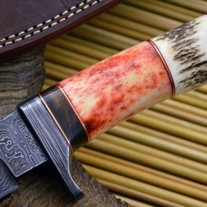 Cuchillo Utilitario de Acero de Damasco Forjado a Mano con Mango de Hueso y Madera - Product Image 4