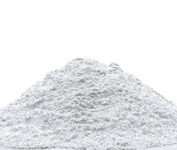 Chaux hydrolysée de qualité supérieure Ca(OH)2 - Chaux calcinée haute pureté pour le traitement des eaux usées, poudre 200 mesh, Rajputana Global Export