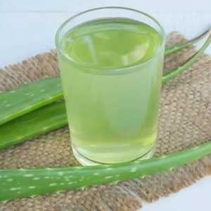 Jus de bien-être à l'aloe vera, frais, pur et nutritif, boisson santé biologique, Ojistha Industries Jharkhand, durée de conservation de 36 mois - Product Image 1