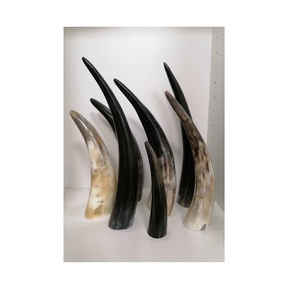 Polished Buffalo Horn decorative Unique Carved Animal Style Handicraft Natural <b>Raw</b> Horn Decoration items - Product Image 2