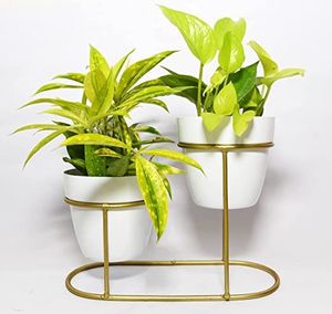 Jardinière suspendue moderne en fer pour petites plantes, succulentes, fleurs, herbes et arrangements décoratifs pour la maison et le jardin - Product Image 2