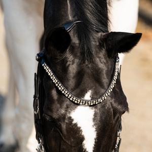 Brida para Caballo ALR EQUESTRIANS ALR-BR con Logotipo Personalizado, de Cuero Genuino Patentado de Alta Calidad, Duradera, Estilo Western - Product Image 4