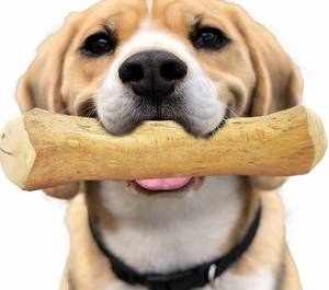 Precio de Fábrica, Palos de Madera de Café Natural para Masticar, Juguete Duradero para Perros, Venta al por Mayor, Fabricante de Juguetes para Masticar para Perros - Product Image 1
