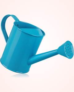 Regadera pequeña de metal para plantas de interior con diseño compacto y boquilla larga para un fácil acceso al riego. - Product Image 1