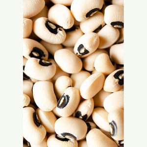 Black Eyed Cowpea <b>Beans</b> - Product Image 5