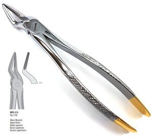 Pince d'extraction manuelle Nr.51 pour racines dentaires, molaires, extraites par force, en acier inoxydable, autoclavable, certifiée CE, pour usage dentaire - Product Image 5