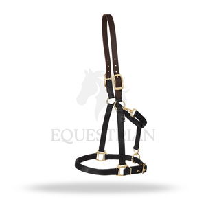 Nylon Horse <b>Halter</b> with Leather Crown Brass Hardware Adjustable Headcollar with Snap Hook - Product Image 3