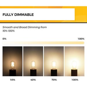 Lampadina LED Vintage Edison Dimmerabile 6W Equivalente a 60W, Luce Bianca Calda 3000K, Attacco E26, 700LM, Certificata UL, Alto CRI 95+ - Product Image 2