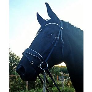 บังเหียนม้าหนังแท้สำหรับขี่ม้าโลโก้ออกแบบได้ตามต้องการผลิตภัณฑ์ขี่ม้าแบบตะวันตกที่มีความทนทาน - Product Image 4