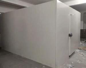 Cámara Frigorífica de Alto Rendimiento con Paneles Aislantes, Unidad de Refrigeración y Congelación, Almacenamiento para Productos Farmacéuticos, Lácteos, Carne y Vegetales - Product Image 3