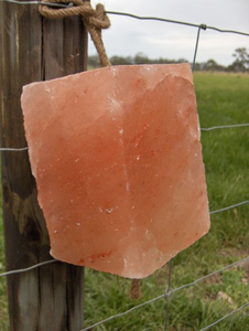 Bloc de sel de l'Himalaya de qualité supérieure pour l'exportation, certifié HACCP/ISO, alimentation animale à lécher, directement du fabricant - Product Image 6