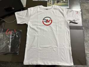เสื้อยืดคอกลมแขนสั้นผ้าโพลีเอสเตอร์ 100% ลายการ์ตูนลำลอง ขายส่ง รับทำโลโก้ OEM ออกแบบลายเลือกตั้งได้ตามต้องการ เสื้อเปล่าไม่มีลาย - Product Image 4