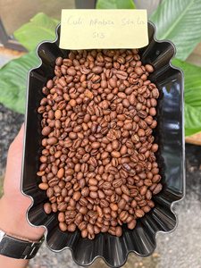 Granos de Café Tostados de Alta Calidad a Precio Competitivo, Tueste Ligero para Preparación por Goteo, Vertido, V60, 100% Arábica de Vietnam - Product Image 3