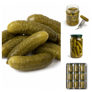 Factory Price International Standard Best Selling Tasty Delicious Canned <b>Pickled</b> Gherkins Customized Packaging - Product Image 3