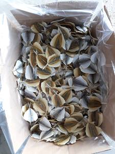 Snack de poisson séché premium à rayures jaunes, assaisonné, riche en protéines, déshydraté, origine Vietnam - Product Image 4