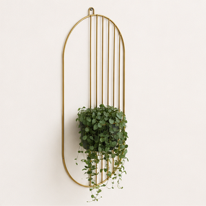 Luxury Gold Plated Metal Wall Planter Modern Iron Hanging Flower <b>Pot</b> Decorative Indoor Wall Mounted Plant <b>Holder</b> for Home Hotel - Product Image 4