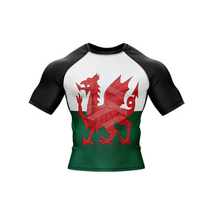 Camisetas de Compresión Deportivas para Hombre con Protección UPF50+, Mangas Largas, Diseño de Logotipo Personalizado, Marca MMA BJJ, Sublimación - Product Image 6