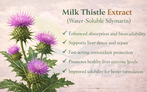 HGO Factory Fourniture directe d'extrait de chardon-Marie naturel pur (qualité alimentaire) Spécification Silymarine soluble dans l'eau 20% - Product Image 5