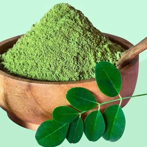 Polvo de Moringa Orgánico en Venta, 99% de Pureza, para Smoothies y Bebidas, 10 kg, Exportación a Granel por Viet Delta - Product Image 1