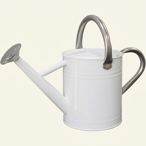 Vintage Classic Style Decorative Metal Watering Can Rustproof Powder Coated Finish For Farmhouse Indoor & Outdoor <b>Garden</b> Decor - Product Image 3