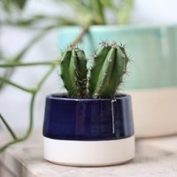 Pot de fleurs en céramique émaillée à la main avec un design incurvé lisse, finition durable, décoration élégante pour plantes d'intérieur