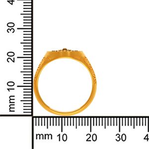 Anillo de Sello Premium con Cabeza de León Chapado en Oro, Detalles en Contraste Negro y Banda Decorativa Texturizada - Product Image 5