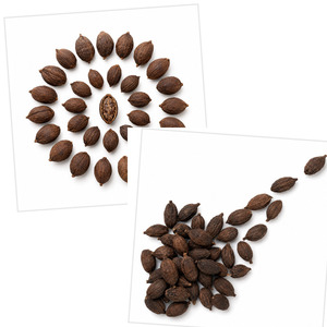Delicious Factory In Vietnam International Standard Top Selling Wholesale Price Black Cardamom 25kg/bag - Product Image 6