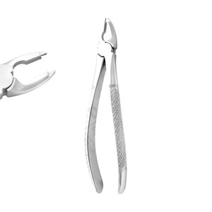 Fórceps de agarre profundo Fig 35 Premolares superiores Fórceps de extracción Premium Patrón inglés Juego dental Instrumentos quirúrgicos Pakistán - Product Image 1