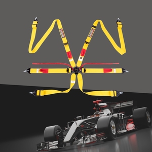 Custom Logo SPORT PLUS 3 FIA 8853 2016 Racing Seat <b>Belt</b> 6 Point <b>Harness</b> for Sports Safety Brand Wholesale Orders - Product Image 1