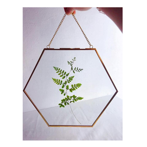Cadre photo mural décoratif en verre transparent avec bordure en laiton en forme d'hexagone, design feuille, finition dorée, best-seller pour la maison et le bureau - Product Image 5