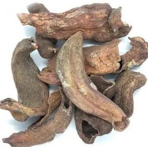 Lilium Polyphyllum Root Dry - Product Image 4