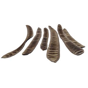 ผลไม้แห้งเดโลนิกซ์เรจียคุณภาพสูง ขายดี เป็นมิตรกับสิ่งแวดล้อม ใช้ได้ทั้งภายในและภายนอกอาคาร สำหรับตกแต่งกระถางต้นไม้ - Product Image 3